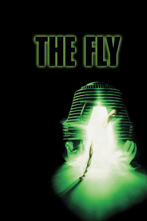 Fly